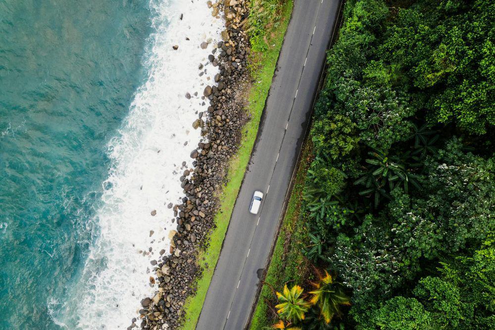 4 Fakta Menarik Negara Jamaika, Tempat Lahirnya Reggae!