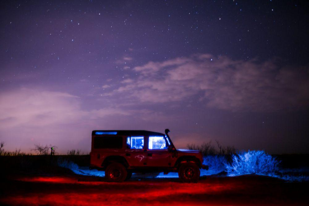 5 Destinasi Night Safari di Afrika yang Tak Kalah Seru dari Siang Hari