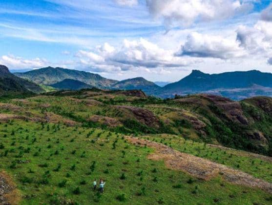 Mengidentifikasi Lahan yang akan dipakai tambang (vale.com/PTValeIndonesia)