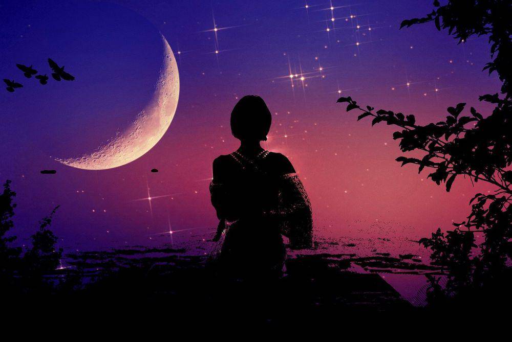 ilustrasi siluet perempuan (pixabay.com/efes)