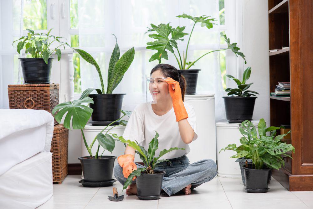 7 Teknik Mengompos Bebas Bau untuk Apartemen