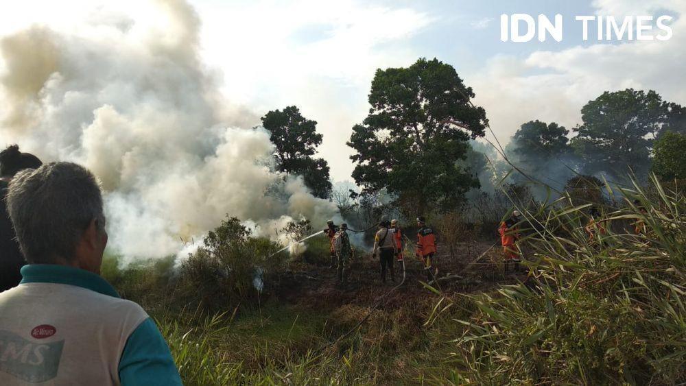 Riau Jadi Daerah Kebakaran Hutan dan Lahan Terluas di Indonesia
