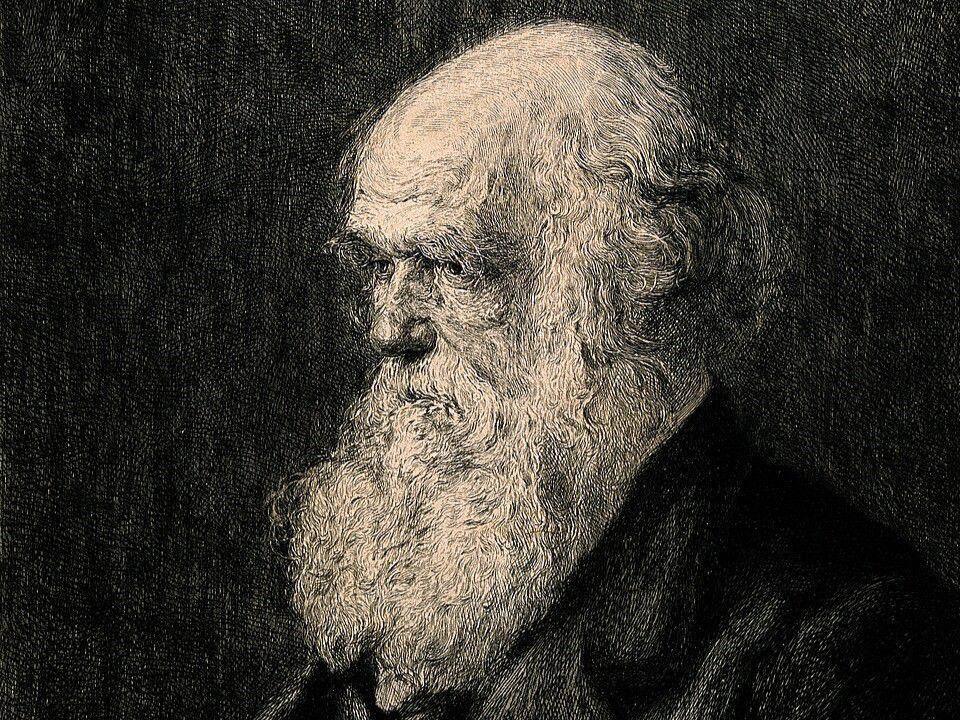 Charles Darwin (commons.wikimedia.org/Berthold Werner)