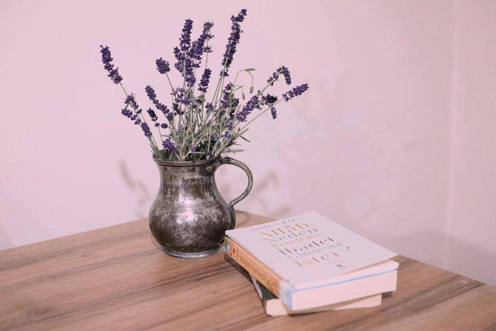 ilustrasi tanaman Lavender (pexels.com/Zeynep Gül Ceylan)