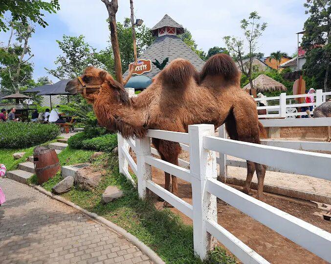5 Tempat Wisata Kids Friendly di Pasuruan, Berbaur dengan Alam!
