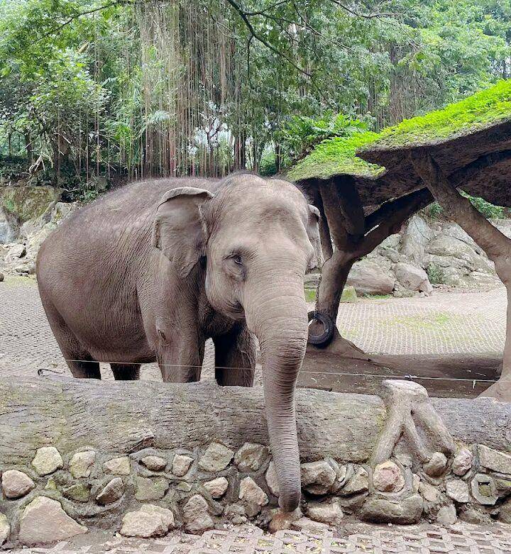 The Grand Tamab Safari Prigen, Pasuruan (google.com/maps/Talitha Rahma Faisa)