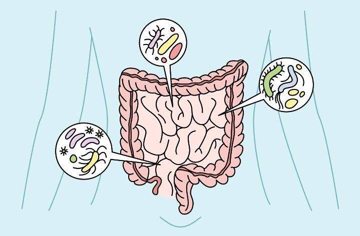 ilustrasi mikrobioma usus (vecteezy.com/DzianisVasilyeu)