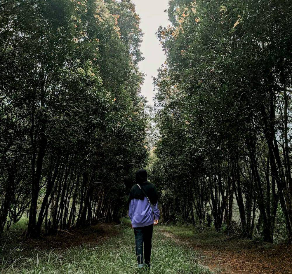 Bangka Botanical Garden, Bangka (google.com/maps/Ummi Kalsum H.)