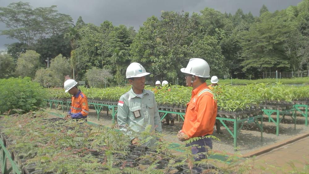 Upaya Konservasi PT Vale untuk Flora dan Fauna di Indonesia