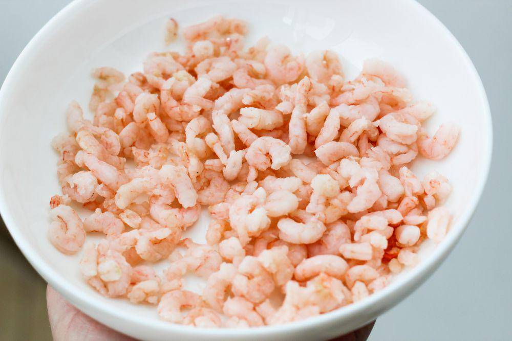 ilustrasi udang (vecteezy.com/Iryna Piskova)