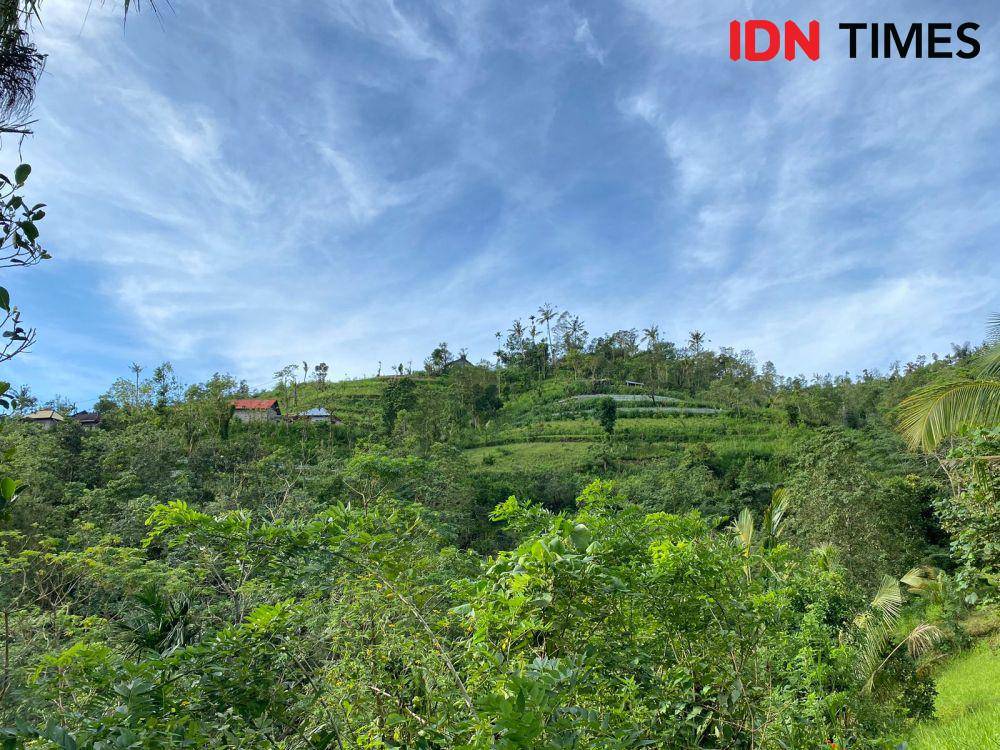 Potret dari Dusun Manikaji, Desa Ban terdapat rumah penduduk dan lahan perkebunan. (IDN Times/Yuko Utami)