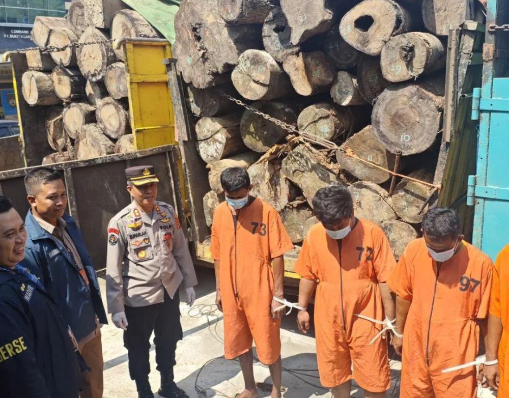 Polisi Ringkus 5 Sopir Pengangkut 150 Batang Kayu Hutan Muba