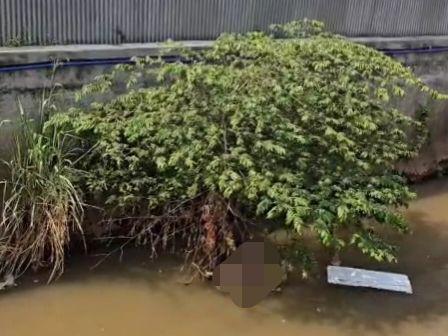 Jasad bayi ditemukan di Kali Cakung Bekasi. (Istimewa)