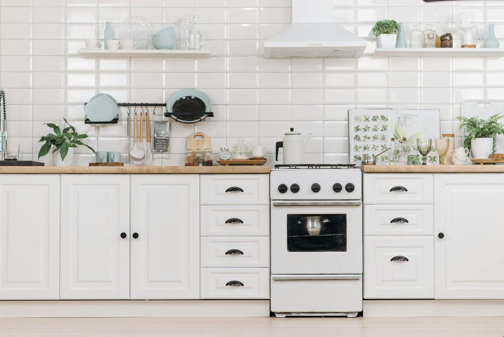 5 Tanaman Hias yang Sebaiknya Jangan Ditaruh di Dapur, Apa Saja?