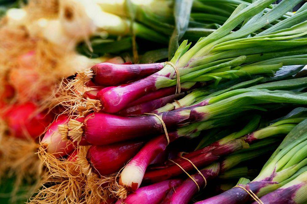 ilustrasi daun bawang (pexels.com/Dreamscolor Media)