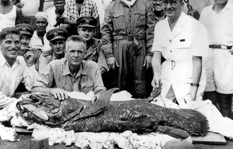Coelacanth Indonesia, Ikan Purba Dianggap Punah Ditemukan di Maluku