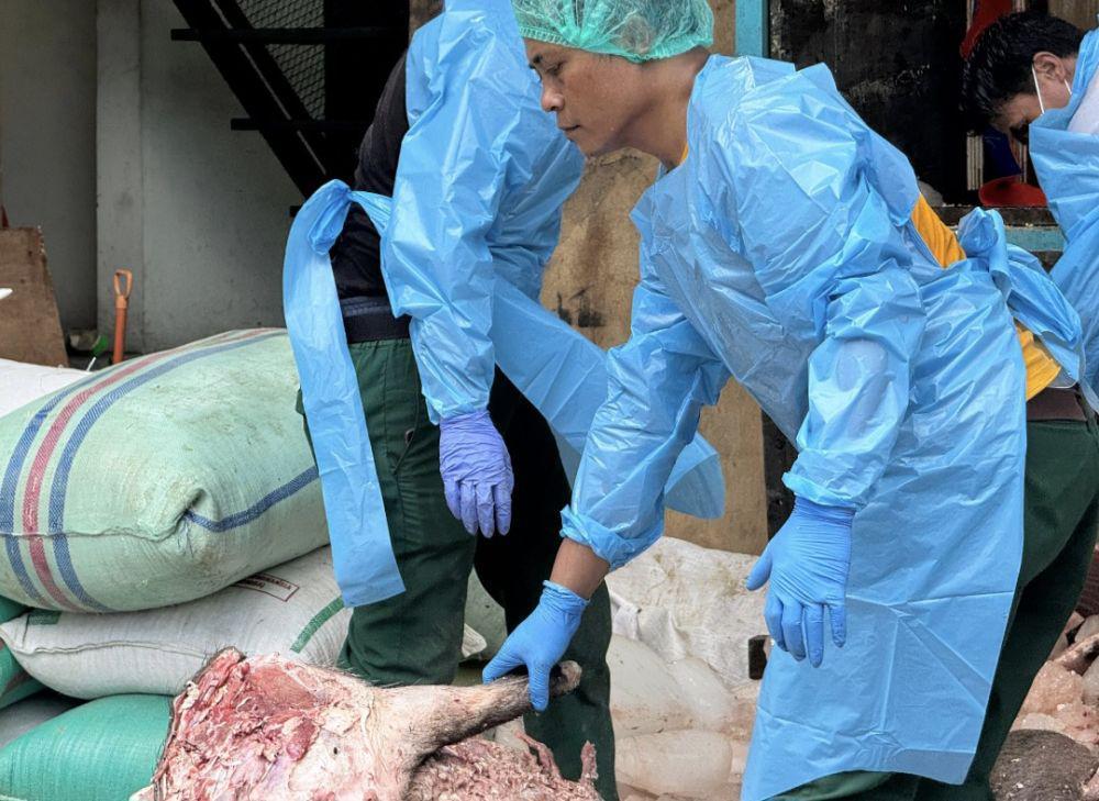 Balai Karantina Gagalkan Penyelundupan 2,9 Ton Daging Babi Ilegal