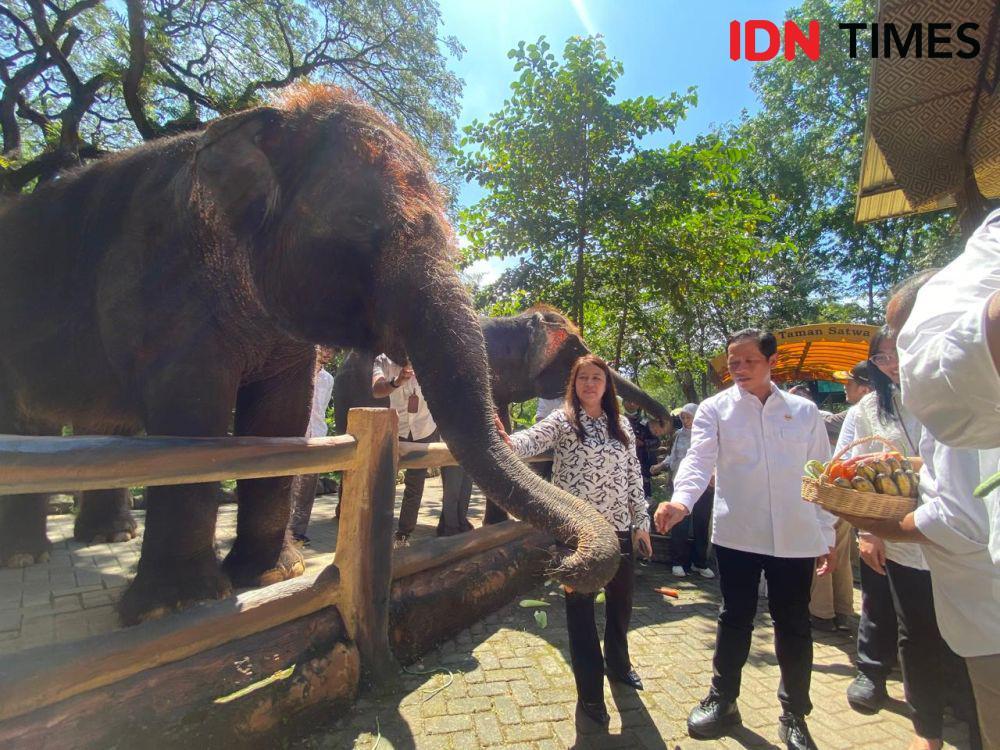 Kunjungi KBS, Menteri LH Minta Pengelola Perhatikan Satwa