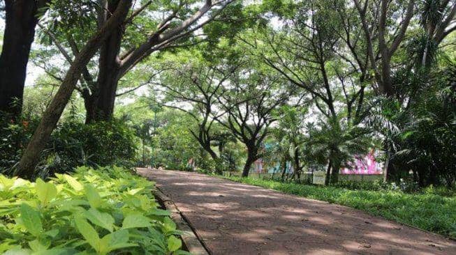 Taman kota (Suara.com)