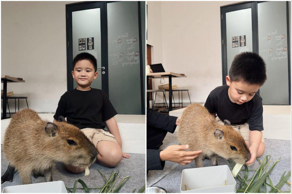 9 Potret Athar Anak Citra Kirana Main bareng Kapibara, Gemas!