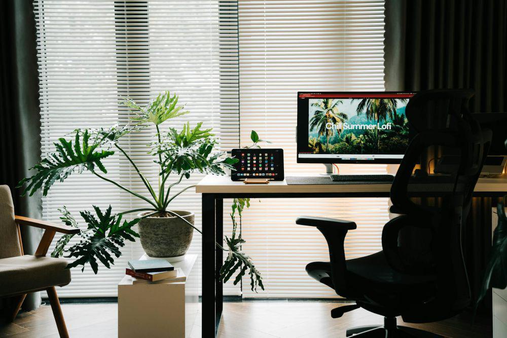5 Tanaman yang Wajib Ada di Ruang Kerja Freelancer, Bikin Mood Terjaga