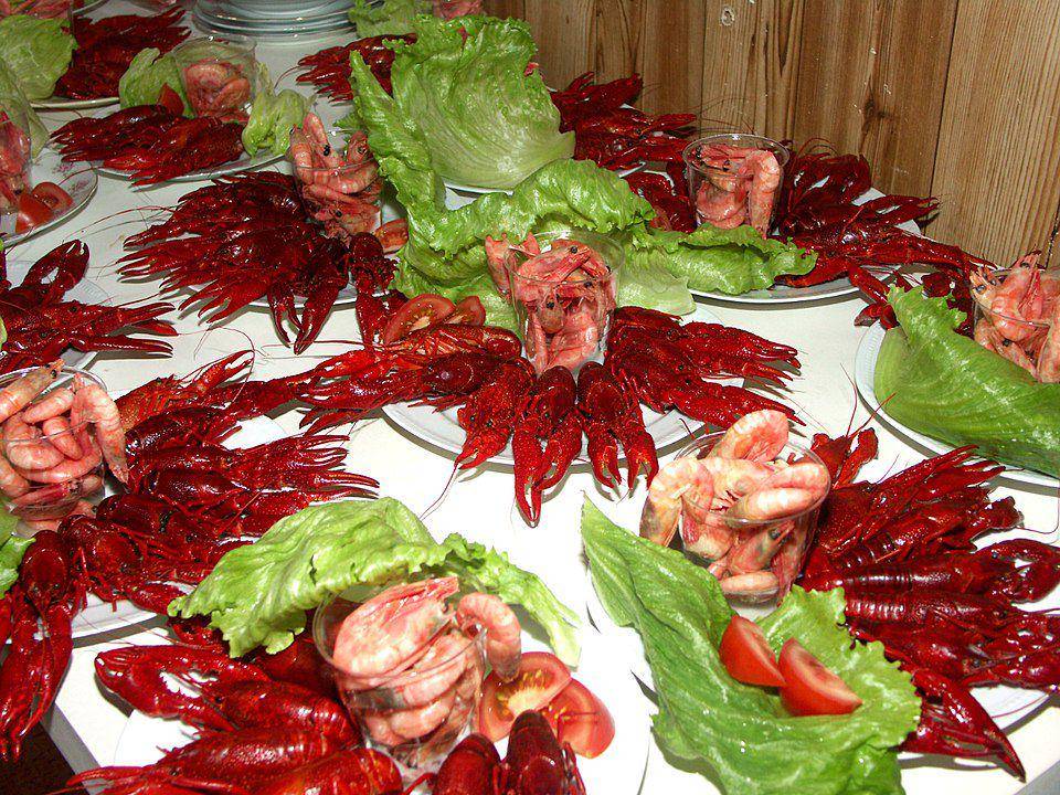 Ilustrasi hidangan udang carabineros (commons.m.wikimedia.org/David Castor)