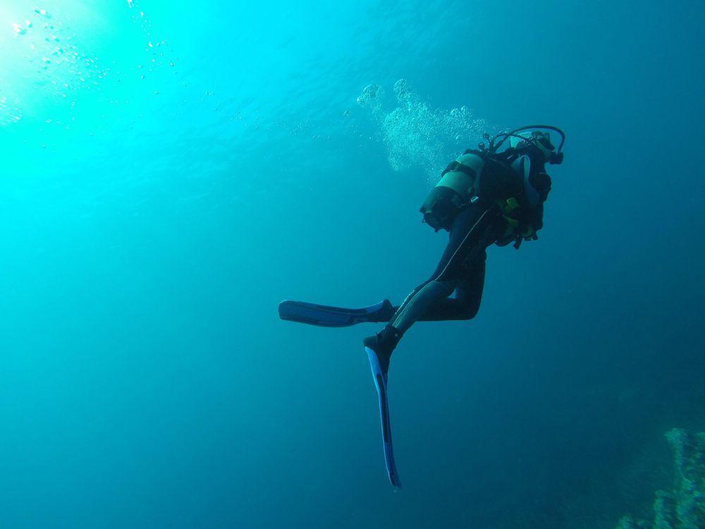 5 Alasan Literasi Laut Harus Masuk Kurikulum Pendidikan