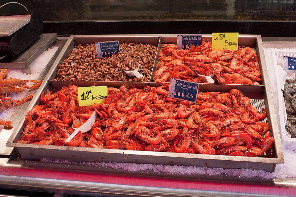 Ilustrasi udang carabineros yang harganya mahal (commons.m.wikimedia.org/Daniel Villafruela)