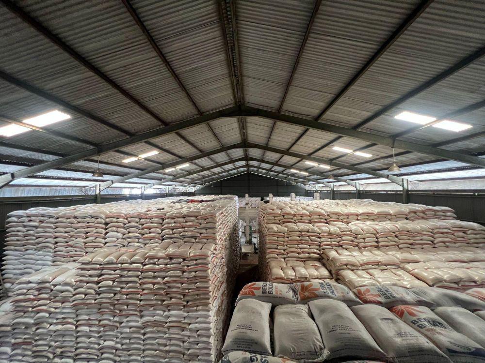 Bulog Sumut Sudah Serap 28 Ribu Ton Gabah Selama 2025