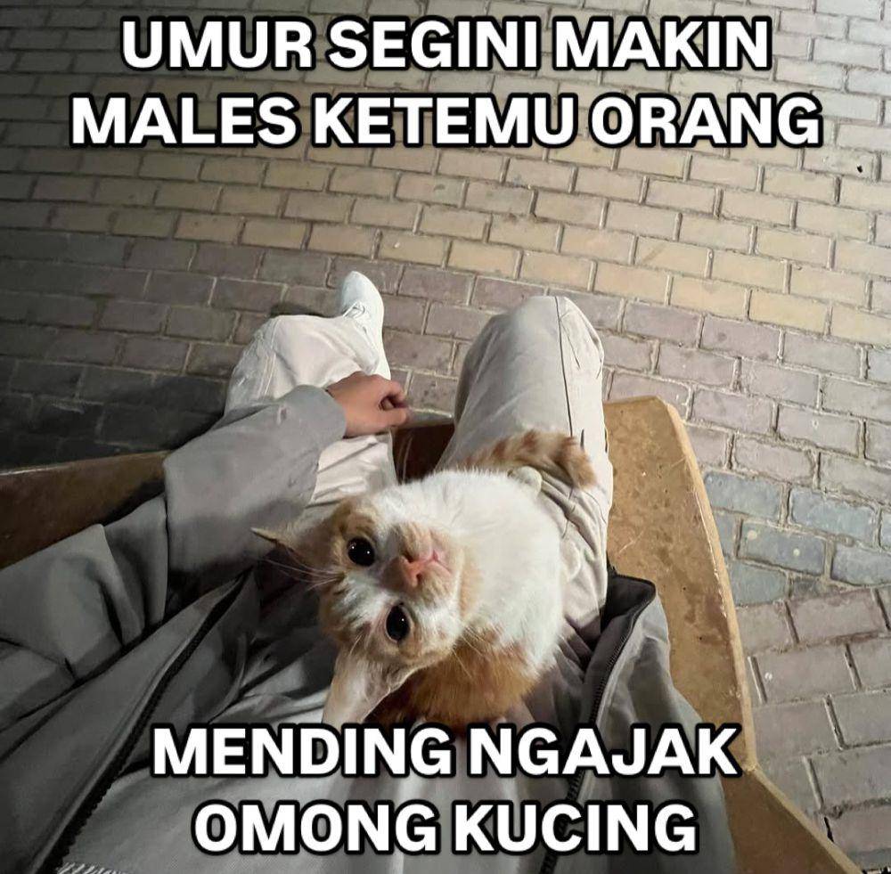 Meme kocak soal umur-umur nanggung (threads.com/@hewanjenaka)