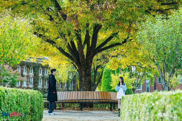 cuplikan drakor Spring of Youth (dok. SBS/Spring of Youth)