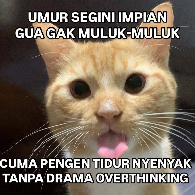 Meme kocak soal umur-umur nanggung (instagram.com/hewanjenaka)