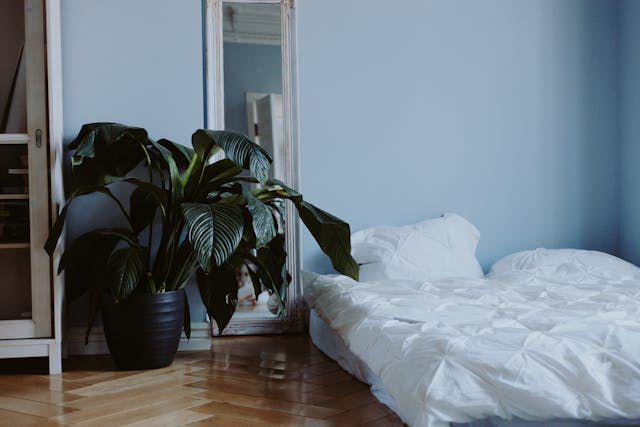 ilustrasi kamar cowok (pexels.com/cottonbro studio)