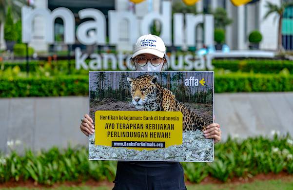 Sejauh Mana Bank Ikut Cegah Pendanaan Praktik yang Membahayakan Hewan? (IDN Times/istimewa)