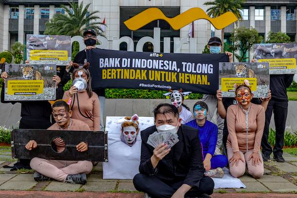 Sejauh Mana Bank Ikut Cegah Pendanaan Praktik yang Membahayakan Hewan? (IDN Times/istimewa)