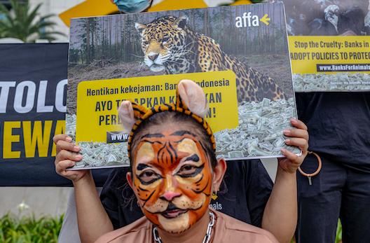 Sejauh Mana Bank Ikut Cegah Pendanaan Praktik yang Membahayakan Hewan?