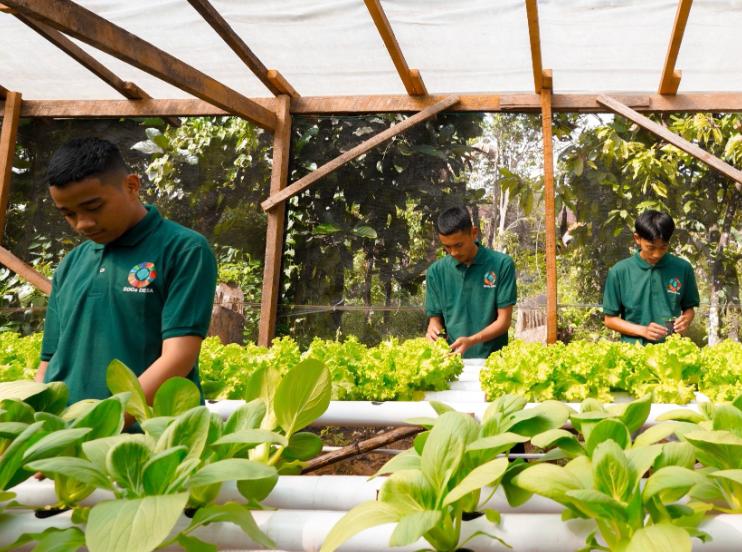 PT Vale Wujudkan Tanggung Jawab Lingkungan lewat Rehabilitasi Lahan