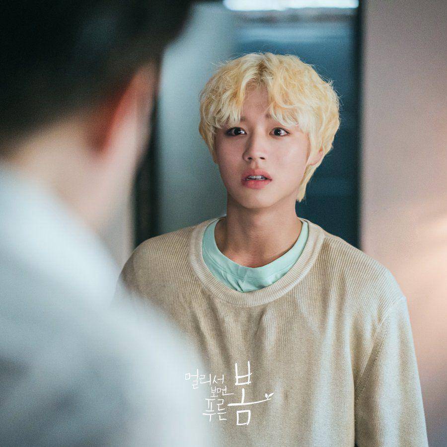 Park Ji Hoon di At a Distance, Spring Is Green (dok. KBS2/At a Distance, Spring Is Green)