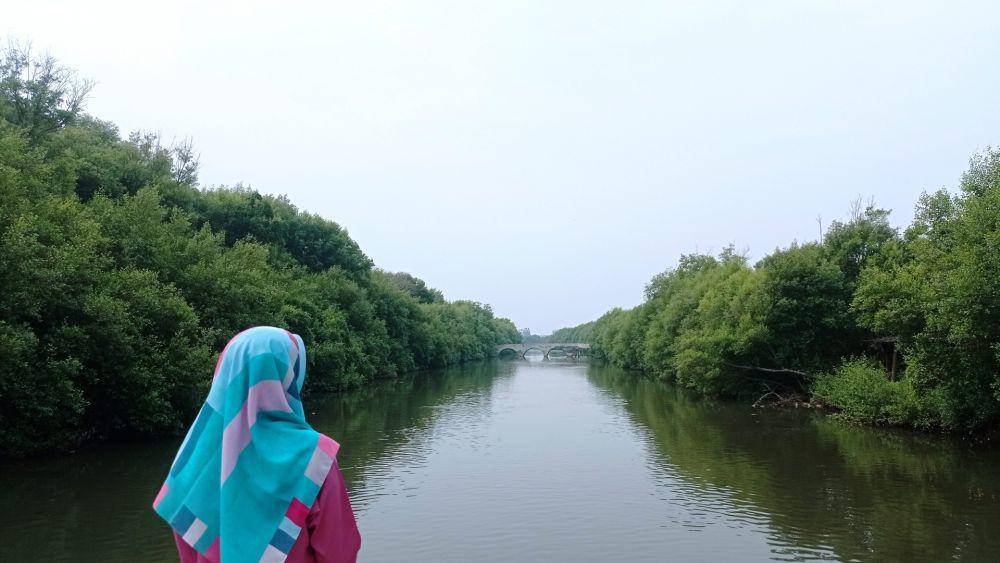 Taman Wisata Alam Angke Kapuk (dok.pribadi/Gusti Nur Iwari)