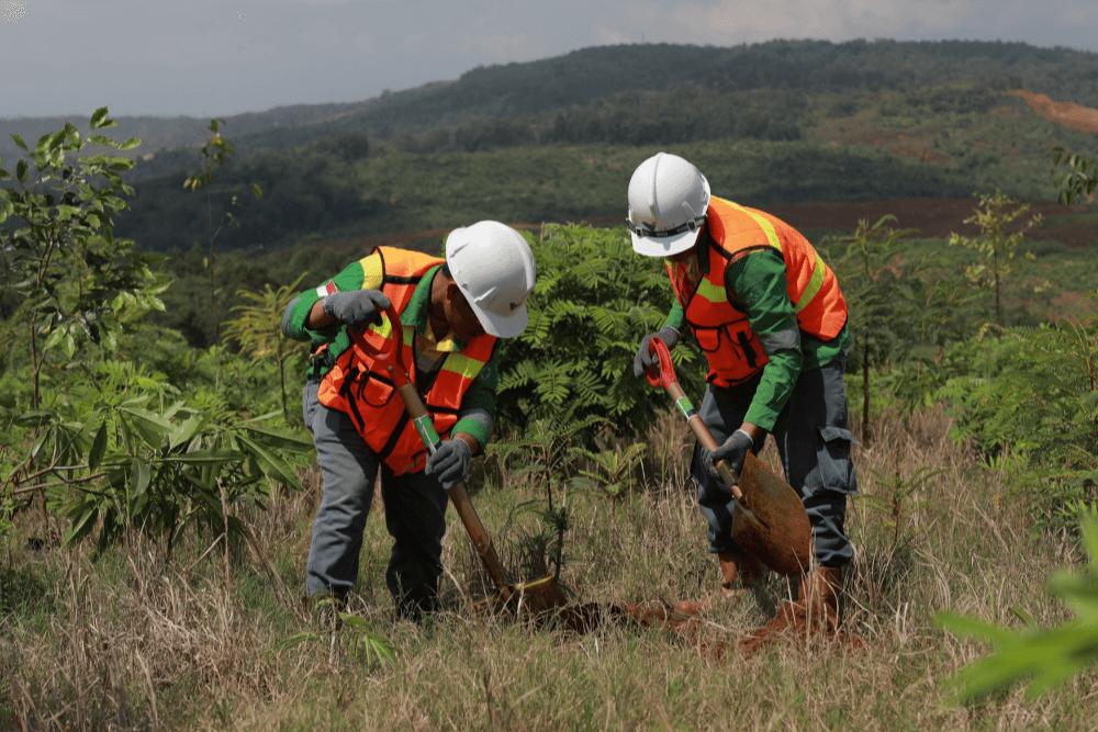 Komitmen Kuat PT Vale Indonesia pada Keberlanjutan Lahan Pascatambang