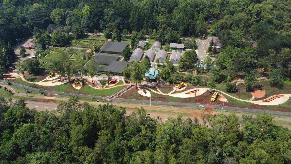 Taman Keanekaragaman Hayati Sawerigading Wallacea (vale.com)