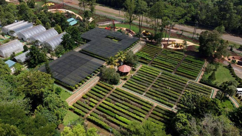 PT Vale Indonesia (vale.com)
