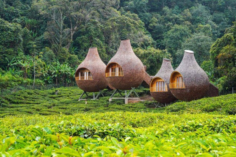 Wisata alam Puncak Bogor