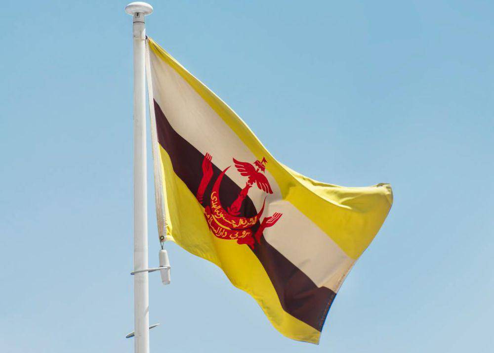 ilustrasi Brunei Darussalam (pexels.com/aboodi vesakaran)