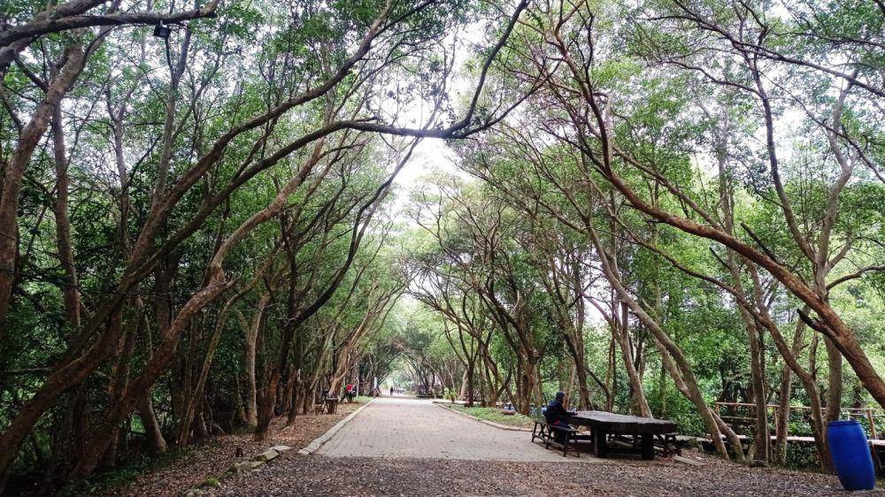 Taman Wisata Alam Angke Kapuk (dok.pribadi/Gusti Nur Iwari)