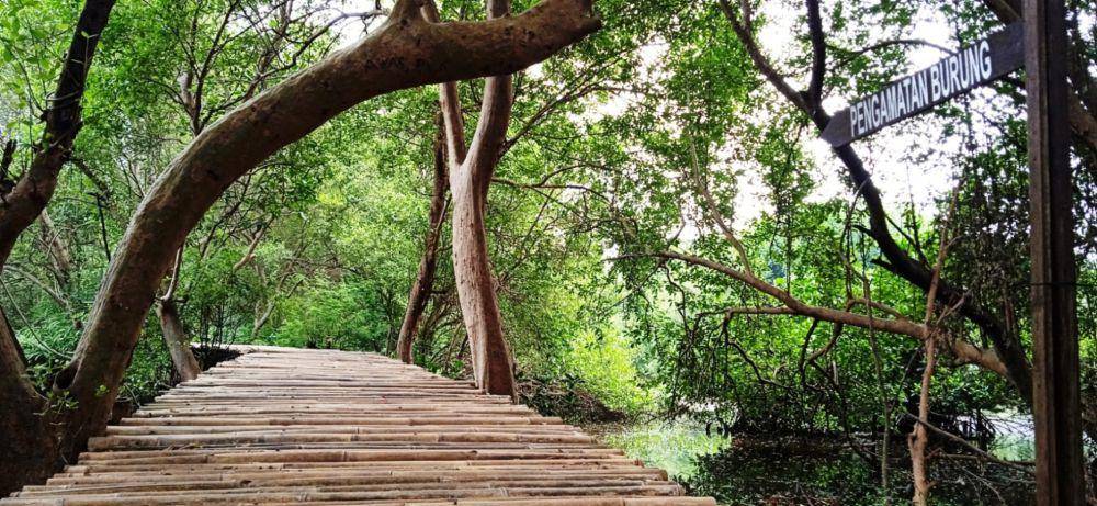Taman Wisata Alam Angke Kapuk (dok.pribadi/Gusti Nur Iwari)