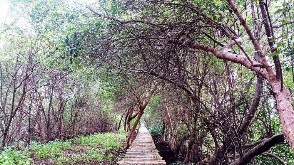 Taman Wisata Alam Angke Kapuk (dok.pribadi/Gusti Nur Iwari)