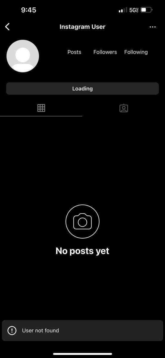 Akun Instagram yang tidak bisa ditemukan (pinterest.com/UltraSkynet)