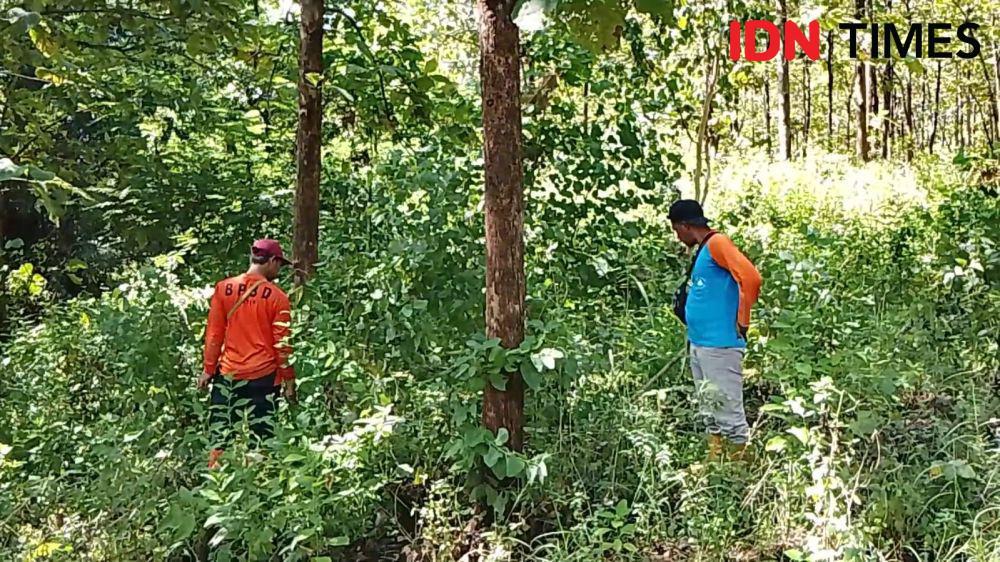 Tim gabungan lakukan pencarian di hutan jati Desa Lembeyan Wetan, Kecamatan Lembeyan, Kabupaten Magetan. IDN Times/ Riyanto.