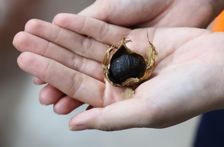 Nopphada Superfoods: dari Bawang Tradisional Menuju Superfood Global